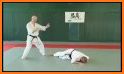 Kyokushin - Leg Techniques related image