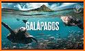 Galapagos Islands GPS Charts related image