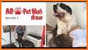 All Paws Pet Wash related image