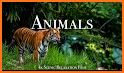 Animal Land related image