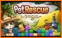 Blocks Blast Pet Rescue related image