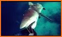 Shark Attack Spear Fishing 3D related image