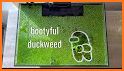 Duckweed Fix related image