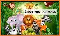 Animals - Zivotinje related image