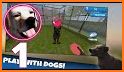 Pet Dog Training: Dog Sim 3D related image