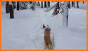 Girl on a sled. Snow slides. related image