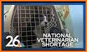 Nationwide Vet Helpline related image