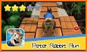 Peter Rabbit Endless Runner related image