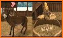 Pet World - WildLife America Premium - animal game related image