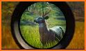 Deer Hunter - Call of the Wild related image