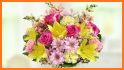 1800Flowers: Same-Day Flowers & Gifts Delivery related image