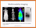 Nuclear Medicine Dose Tools related image