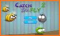 Catch The Fly related image