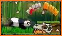 Panda Run - Panda In The World Of Adventures related image