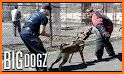 K9 Police Dog Training Game related image