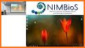 Nimbio related image