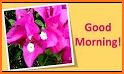 Good Morning Afternoon Evening Night Greeting Card related image