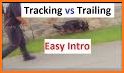 Dog Tracking related image