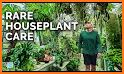 Houseplant related image