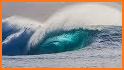 Surfline Surf Cams, Forecasts related image