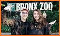 Bronx Zoo App Free related image