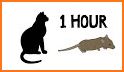 Games for Cats! - Cat Fishing Mouse Chase Cat Game related image