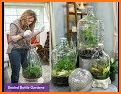 Gardenium Terrarium related image