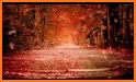 Autumn Wallpaper related image