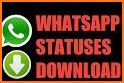 WIF Status Saver  - Free Videos& Photos Downloader related image