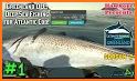 Sea Fishing Simulator - Cod, Bass, Plaice & more related image