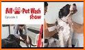 All Paws Pet Wash related image