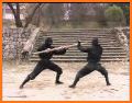 Learn Ninjutsu Techniques related image