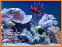 Marine Aquarium 3.3 PRO related image