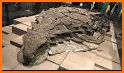 Dinosaur Discovery - Fun & Edu related image