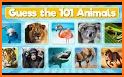 Guess the Animals Quiz 2021 related image