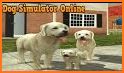 Dog Simulator - Animal Life related image