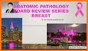 Board Review Series - Pathology related image