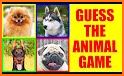 Dog Quiz Guess Dog Names Test ❓🐕⁉🐶❤ related image