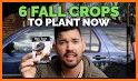 Grow Fall related image