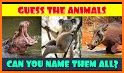 Guess the Animals Quiz 2021 related image