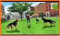 Dog Games - Pet Games & Dog Simulator related image