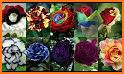 Beautiful flowers and roses pictures Gif 2020 related image