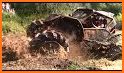 Dirt Offroad Racing related image