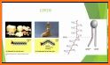 Biochemistry & Molecular Biology Exam Review. related image