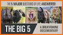 Africa Mobile Games : Big Five related image