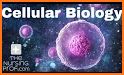 Cell biology related image