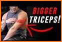 Triceps Workout Exercises related image