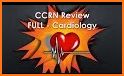 Learning Cardiology Quiz related image