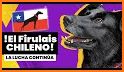 Stickers de Perritos Lomunidad related image