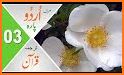 اردو میں قرآن - Quran in Urdu+ related image